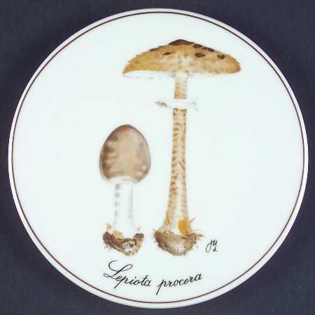 Bing & Grondahl Giftware Lepiota Procera Mushroom - No Box