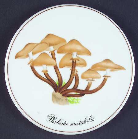 Bing & Grondahl Giftware Pholiota Mutabilis Mushroom - No Box