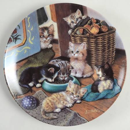 Litter Rascals Cozy Commons - No Box