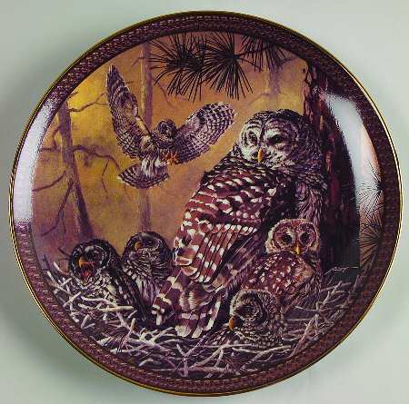 Family Circles Barred Owl Family - No Box