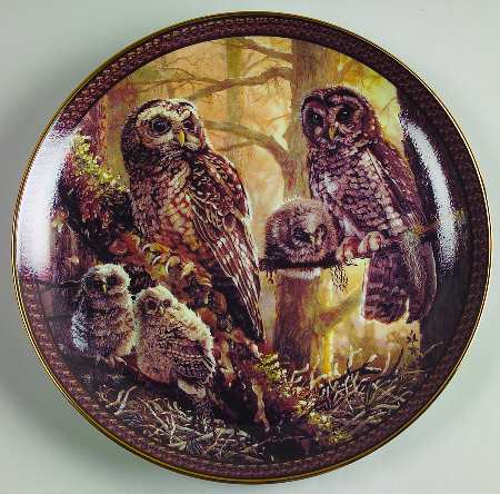 Family Circles Spotted Owl Family - No Box