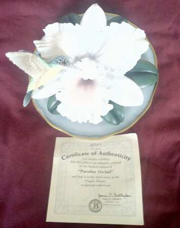 Fragile Beauty Paradise Orchid - No Box