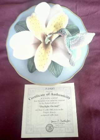 Fragile Beauty Daylight Orchid - No Box