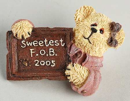 Friends of Boyds Bon-Bon Sweetbeary-Pin - Boxed