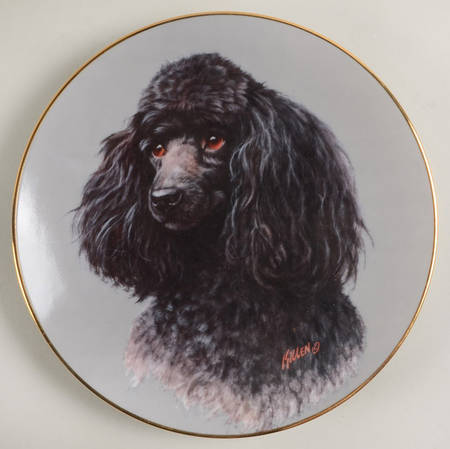 Thats My Dog Black Poodle - Boxed