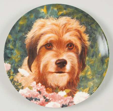 Wags To Riches by Creative World