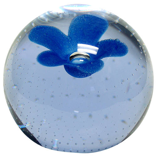 Caithness Paperweight Pop Flowers-Blue - Boxed
