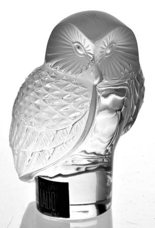 Birds Owl - Boxed