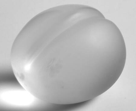 Lalique Figurines & Paperweights Prune (Plum) - Boxed