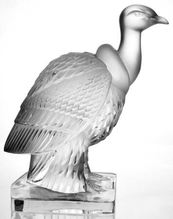 Birds Condor - No Box 60