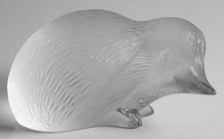 Animals Wild Hedgehog - Boxed