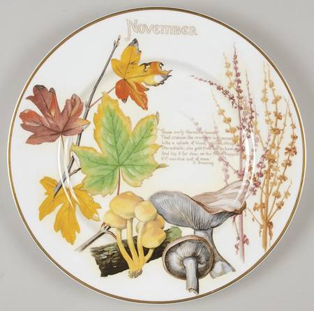 Country Diary of an Edwardian Lady November - No Box