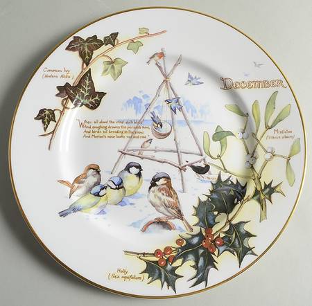 Country Diary of an Edwardian Lady December - No Box