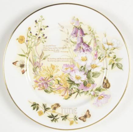 Country Diary of an Edwardian Lady June - No Box