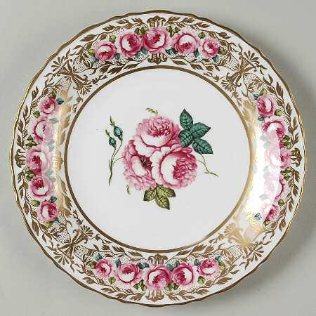 A Celebration of Coalport Roses by Coalport