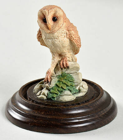 Country Artists Figurines Owl On Rocks - Boxed