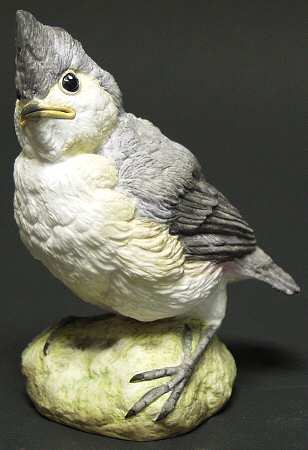 Fledglings of North America by Connoisseur-Malvern