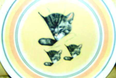 Chessie Collection-Golden Anniversary Chessie & Kittens - No Box