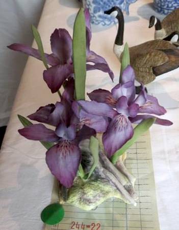 Connoisseur of Malvern Floral Rocky Mountain Iris - Boxed