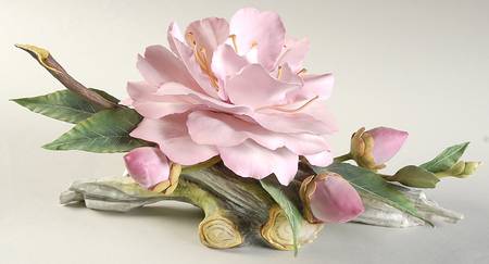 Connoisseur of Malvern Floral El Dorado Rose - No Box