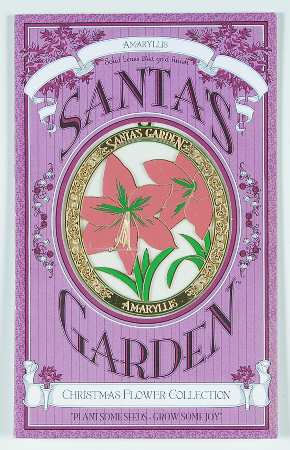 Christmas Greenery Collection Amaryllis - Boxed