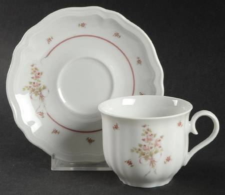Great Porcelain Houses of The World Schirnding Bavaria - No Box