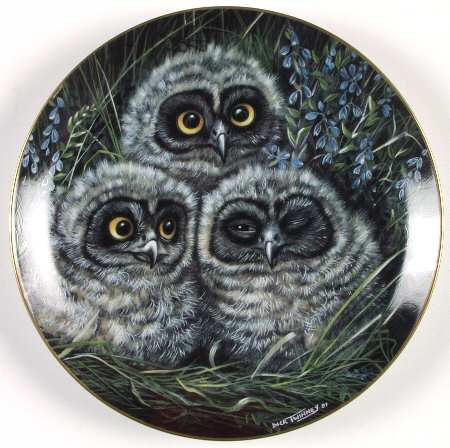 Baby Owl Collection Short-Eared Owls - No Box