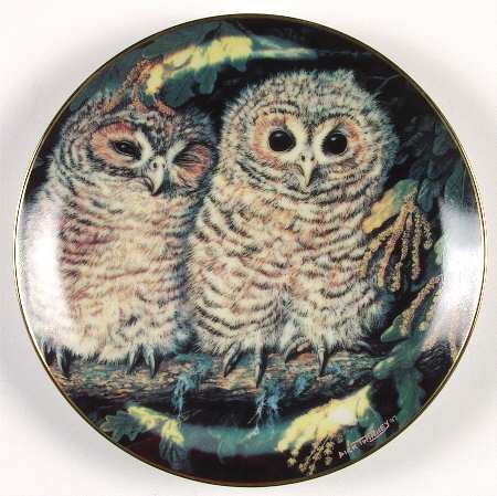 Baby Owl Collection Tawny Owls - No Box
