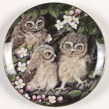 Baby Owl Collection Little Owls - No Box