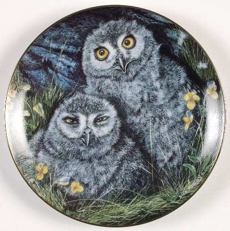 Baby Owl Collection Snowy Owls - No Box