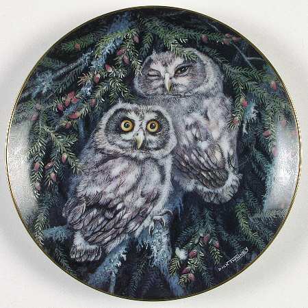 Baby Owl Collection Boreal Owls - No Box