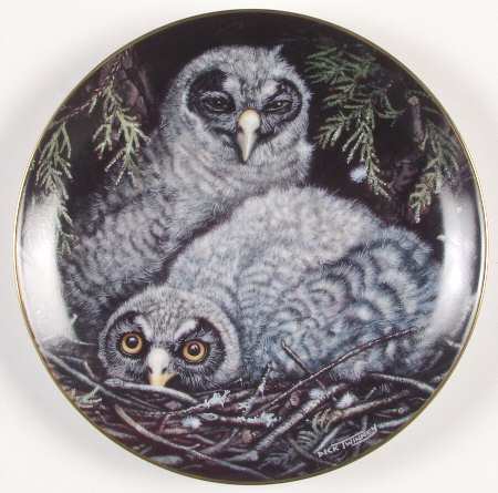 Baby Owl Collection Great Grey Owls - No Box