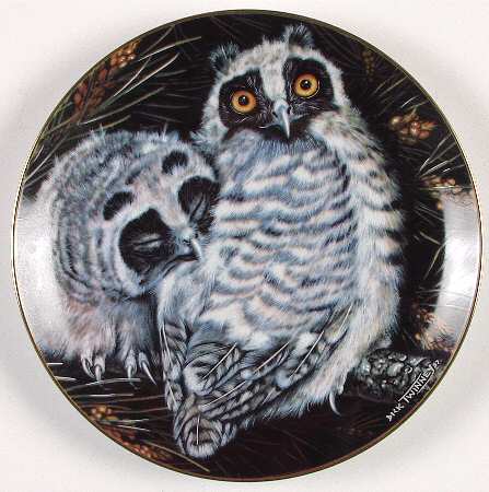 Baby Owl Collection Long-Eared Owls - No Box