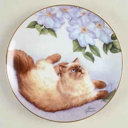 Cats and Flowers Bird's-Eye View - No Box