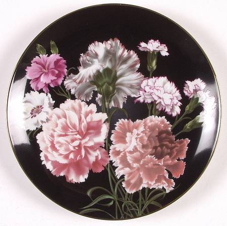Flower Gardens of Count Bernadotte Carnation - No Box