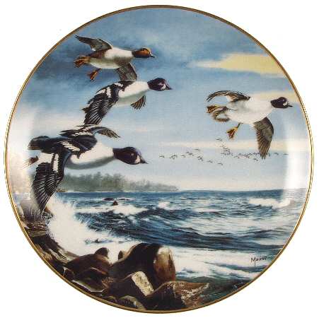 On The Wing Over Water - No Box