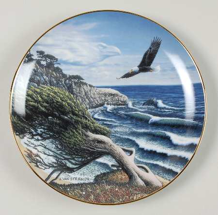 Spirits of The Wild Eagle Cove - No Box