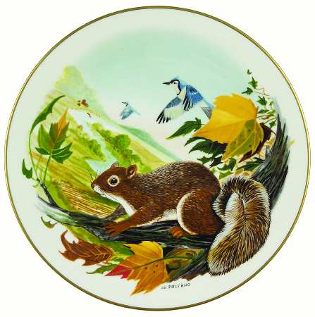Scenes From A Wooded Glen Gray Squirrel - No Box