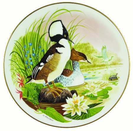 Scenes From A Wooded Glen Hooded Merganser - No Box