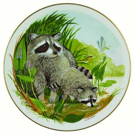 Scenes From A Wooded Glen Raccoons - No Box