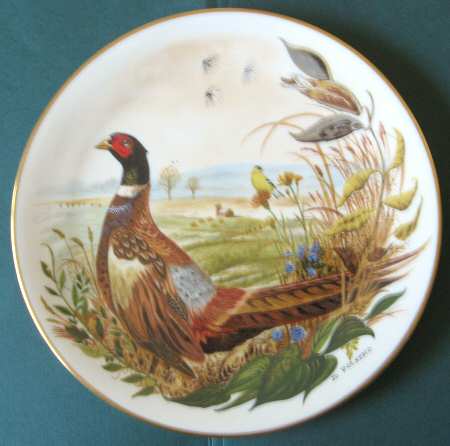 Scenes From A Wooded Glen Ring-Necked Pheasant - No Box