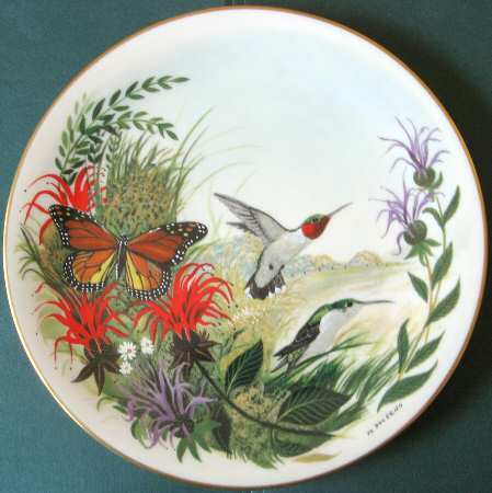 Scenes From A Wooded Glen Hummingbirds - No Box