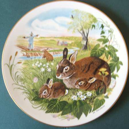 Scenes From A Wooded Glen Cottontails - No Box