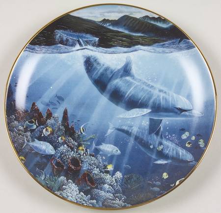 Underwater Paradise Lahaina Seaflight - No Box