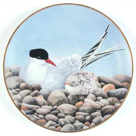 12 Waterbird Plates-The Sumner Collection Tern - No Box