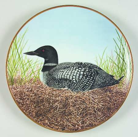 12 Waterbird Plates-The Sumner Collection Great Northern Diver - No Box
