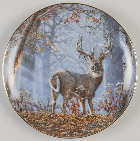 Whitetail Splendor Broken Solitude - No Box