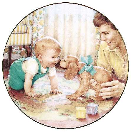 Young Innocence Friendly Inspection - No Box