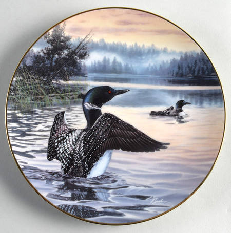 Birds of The North Morning Light: Common Loons - No Box