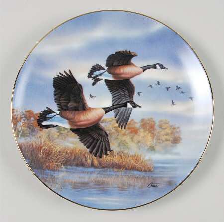 Birds of The North Golden Flight: Canada Geese - No Box